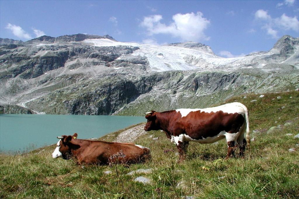 Pension Stubachblick Uttendorf Esterno foto